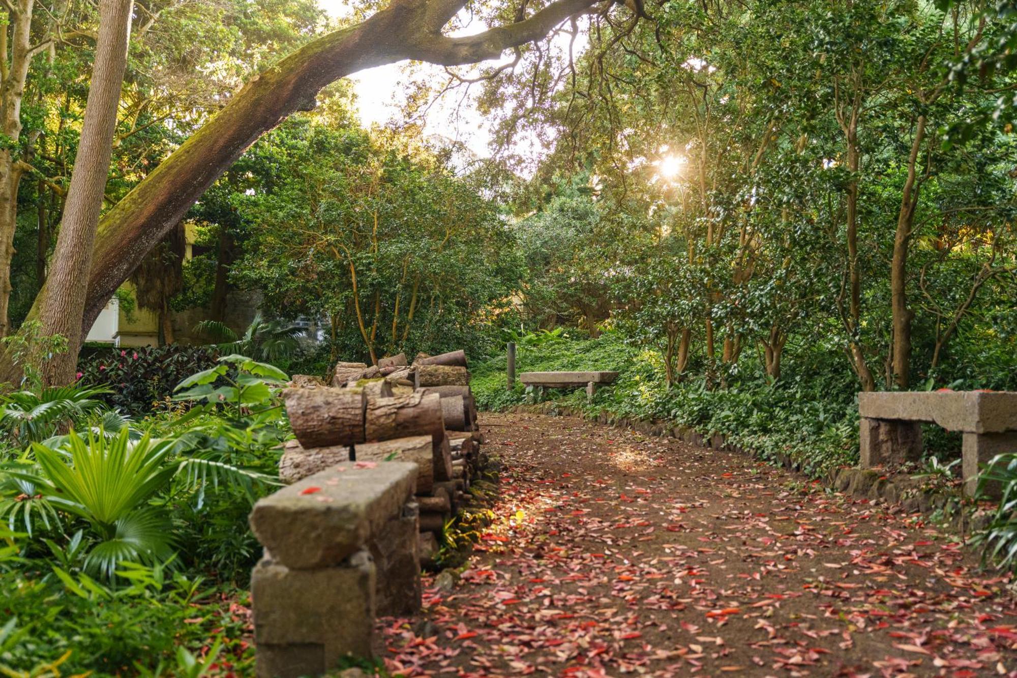 Solar Dos Cantos Botanic House & Garden Ponta Delgada Extérieur photo